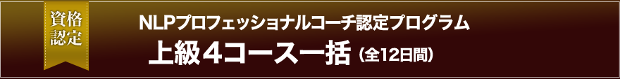 NLP上級プロフェッショナルコーチ認定トレーニング